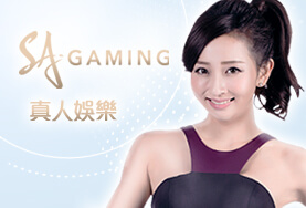 好贏娛樂城SA真人